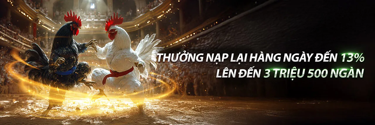Đá Gà Trực Tuyến s6667 - Trận Đấu Kịch Tính